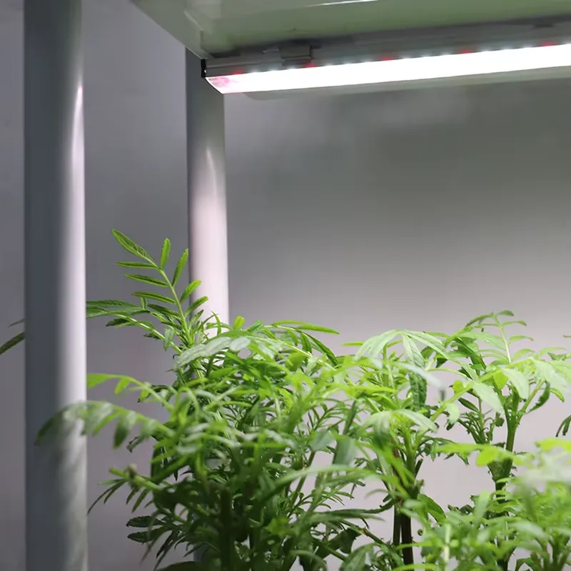 Self Watering Planter - กล่องปลูกต้นไม้แบบเคลื่อนย้ายได้ 3 ชั้น พร้อมระบบรดน้ำอัตโนมัติ ระบบปลูกพืชสมุนไพรในร่มพร้อมไฟส่องสว่าง