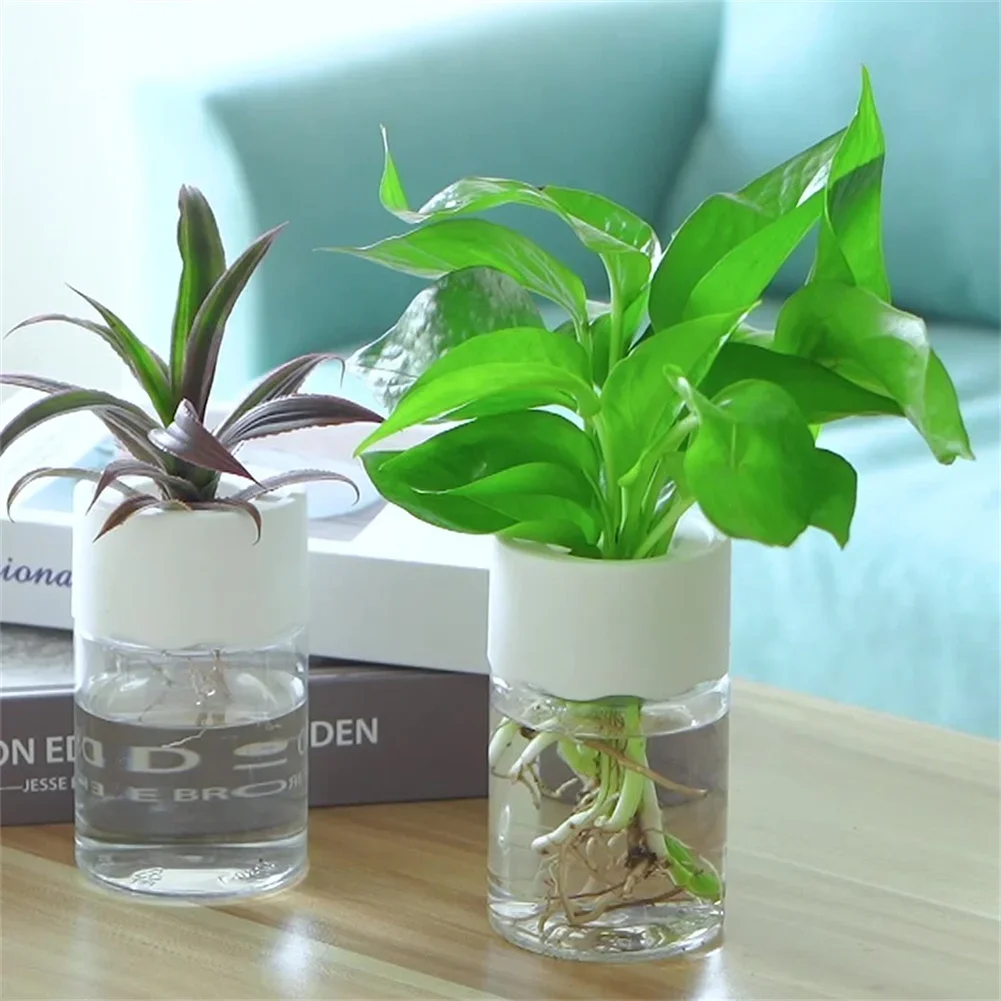 Hydroponic Grow Pod - กระถางปลูกดอกไม้ไฮโดรโปนิกส์ขนาดเล็ก โปร่งใส ไม่ใช้ดิน แจกันปลูกต้นไม้ ตกแต่งบ้าน กระถางต้นไม้แก้วเทียม