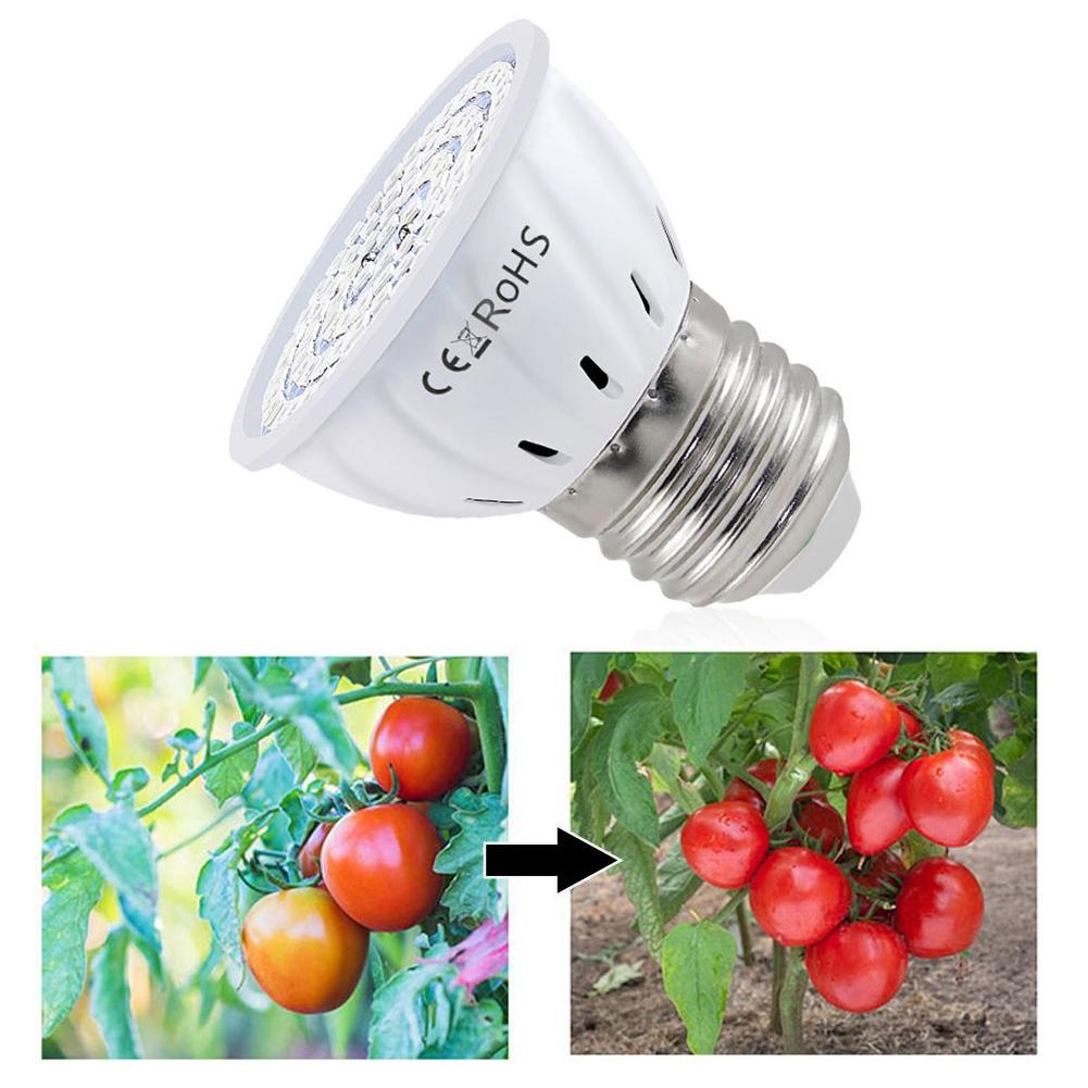 Plant Grow Light Full Spectrum - หลอดไฟ LED สำหรับปลูกต้นไม้ E27 60 80LEDs