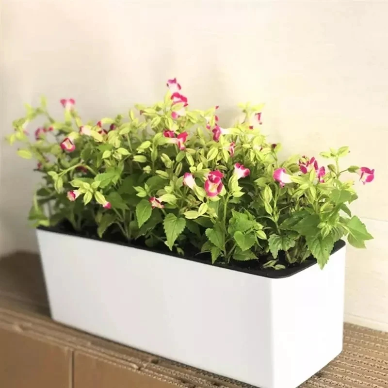 Hydroponic Grow Pod - กระถางดอกไม้ทรงสี่เหลี่ยมผืนผ้า กระถางดอกไม้พลาสติกไฮโดรโปนิกส์ + ตัวบ่งชี้ระดับน้ำ กระถางดอกไม้ดูดซับน้ำอัตโนมัติ