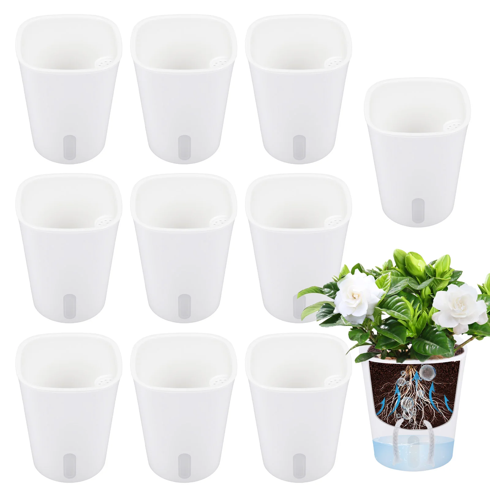 Hydroponic Grow Pod - กระถางต้นไม้แบบรดน้ำเองได้ 10 ชิ้น กระถางปลูกพืชแบบไฮโดรโปนิกส์ กระถางพลาสติกโปร่งแสง กระถางดูดซับน้ำเองได้