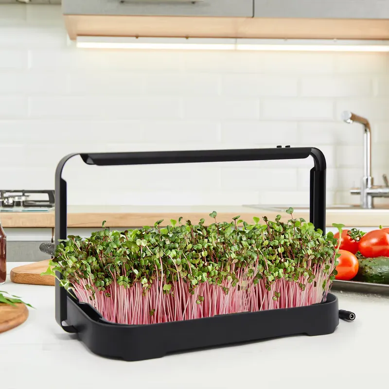 Indoor Garden Kit - ถาดปลูกผักไฮโดรโพนิกสำหรับปลูกไมโครกรีนในร่ม ชุดปลูกเมล็ดไมโครกรีน ระบบปลูกผักอัจฉริยะ