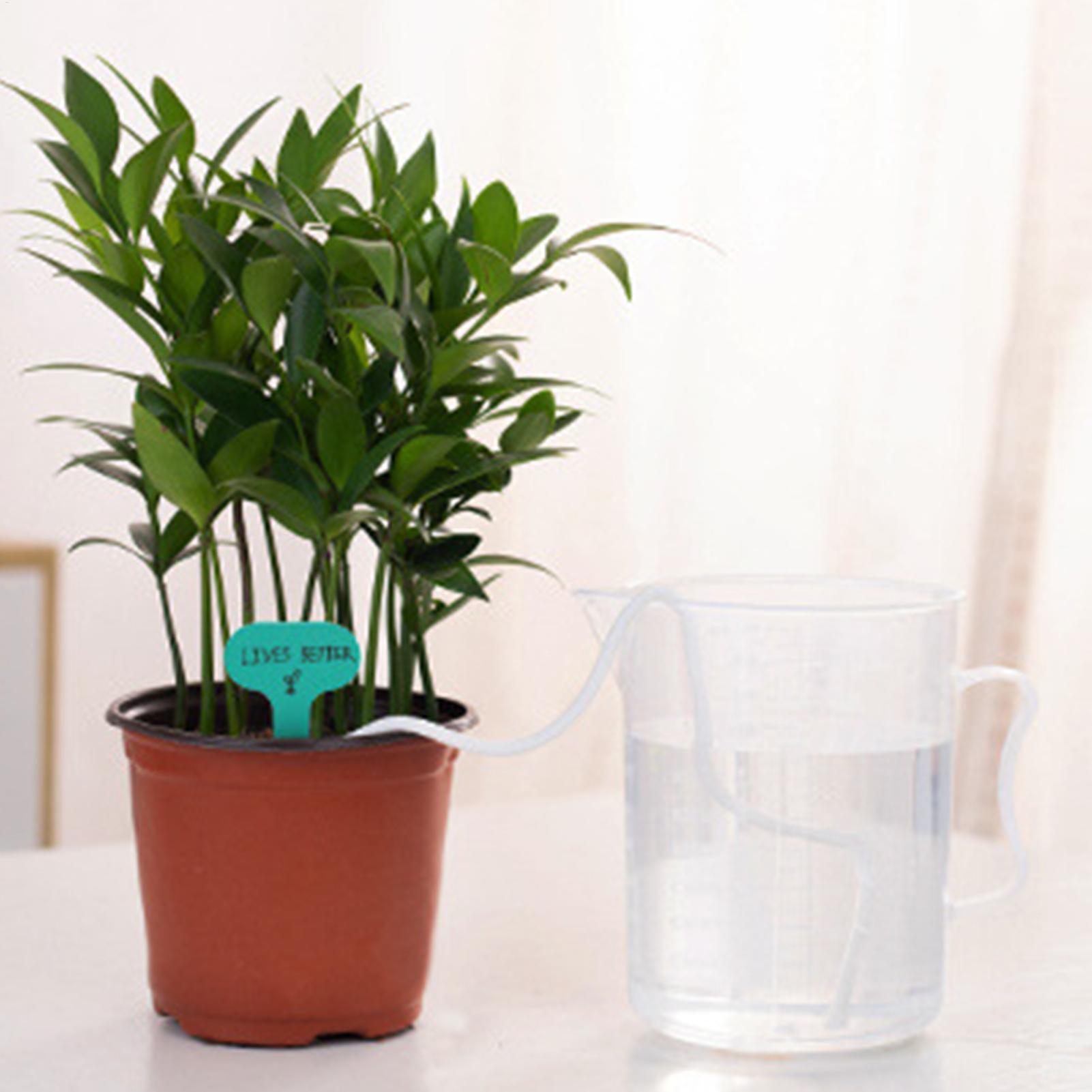 เชือกให้น้ำต้นไม้แบบอัตโนมัติ  - Self Watering Planter บทวิจารณ์และราคา