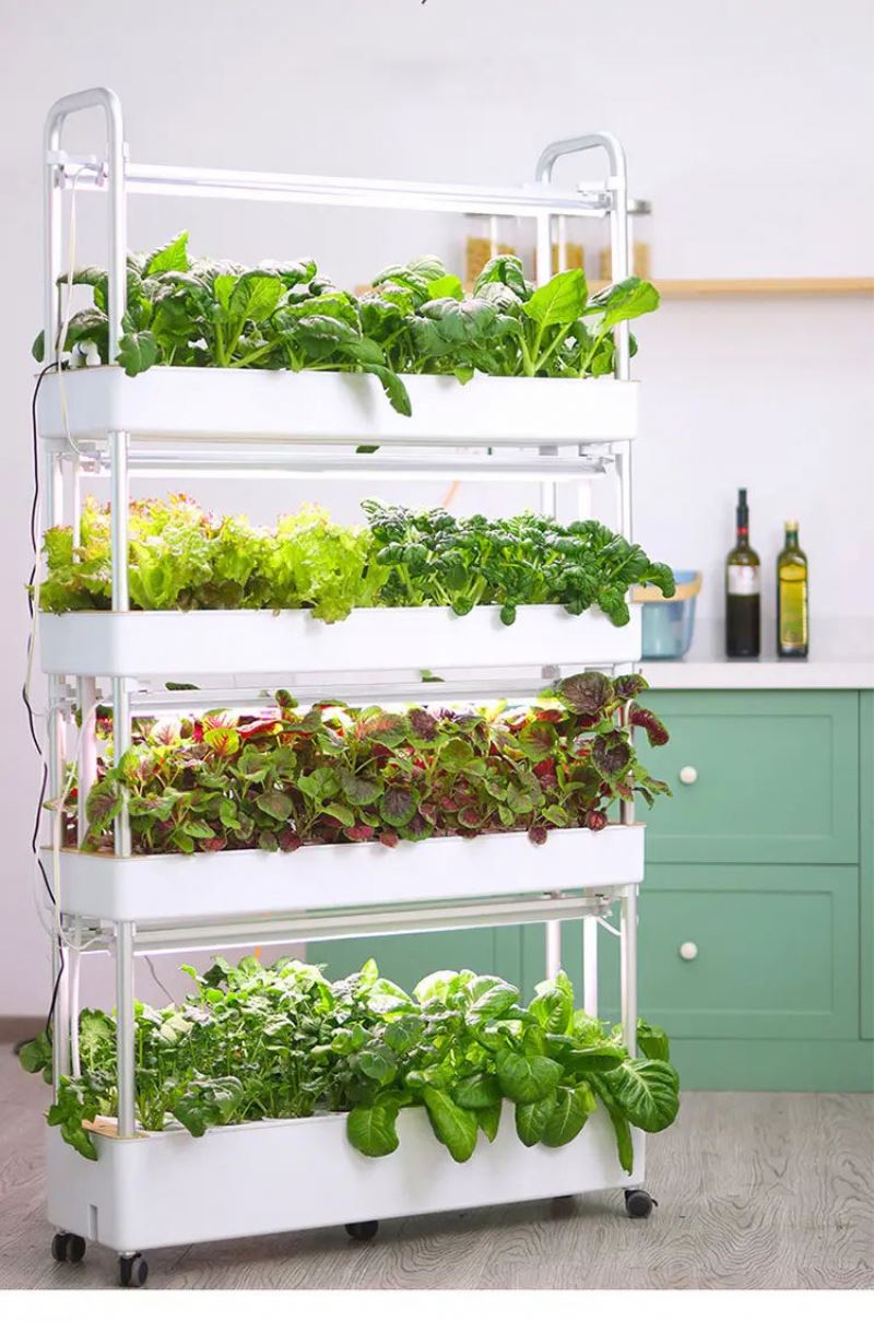 ระบบปลูกพืชไร้ดินในร่มแบบแนวตั - Hydroponic Tower บทวิจารณ์และราคา