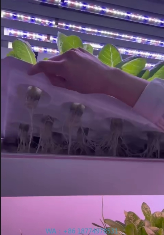 อุปกรณ์การเกษตรในโรงเรือนเพาะเ - Hydroponic Tower บทวิจารณ์และราคา