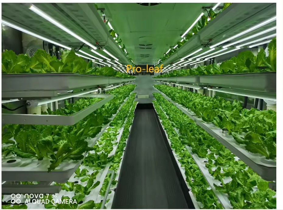 อุปกรณ์การเกษตรในโรงเรือนเพาะเ - Hydroponic Tower บทวิจารณ์และราคา