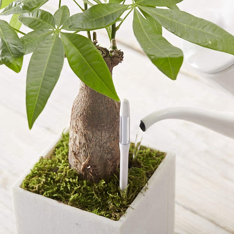 อควาเมเตอร์, 5 ชิ้น, เซ็นเซอร์ - Plant Sensor บทวิจารณ์และราคา