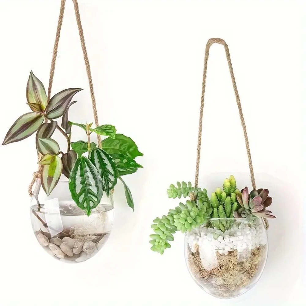 แจกันแขวนไฮโดรโปนิกส์แบบใส แจก - Hydroponic Grow Pod บทวิจารณ์และราคา