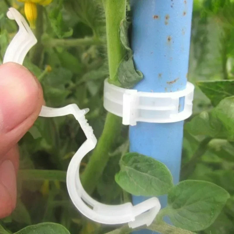 คลิปยึดต้นไม้แบบใช้ซ้ำได้ คลิป - Smart Garden Kit บทวิจารณ์และราคา