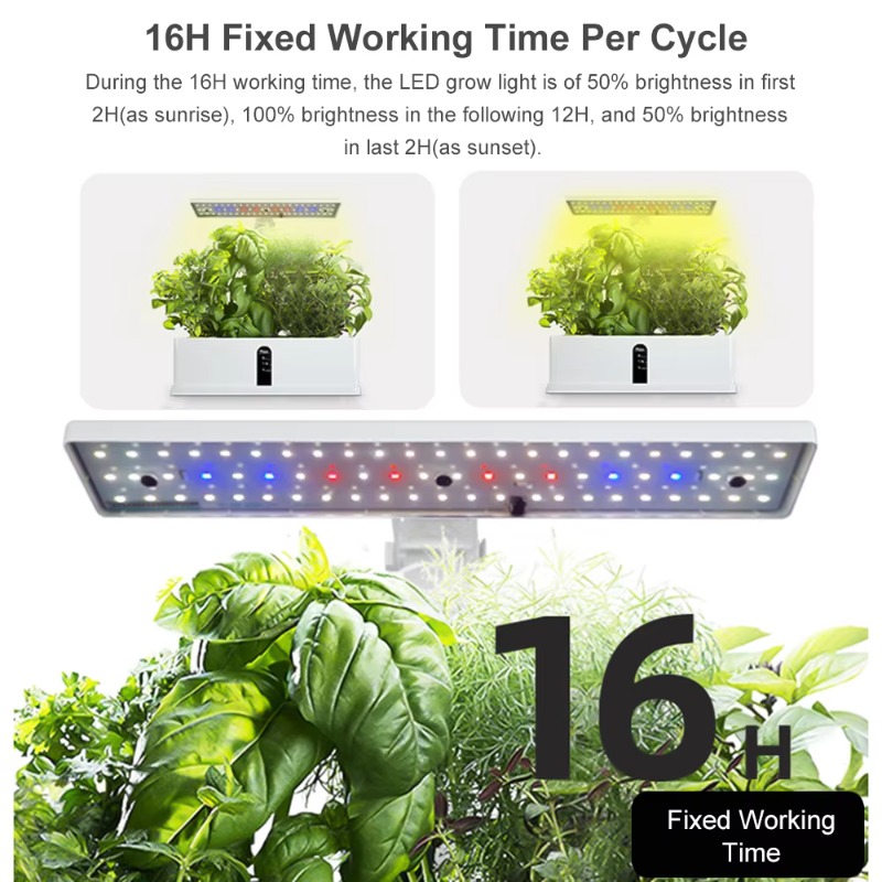 ระบบปลูกพืชไฮโดรโพนิกส์อัจฉริย - Indoor Garden Kit บทวิจารณ์และราคา