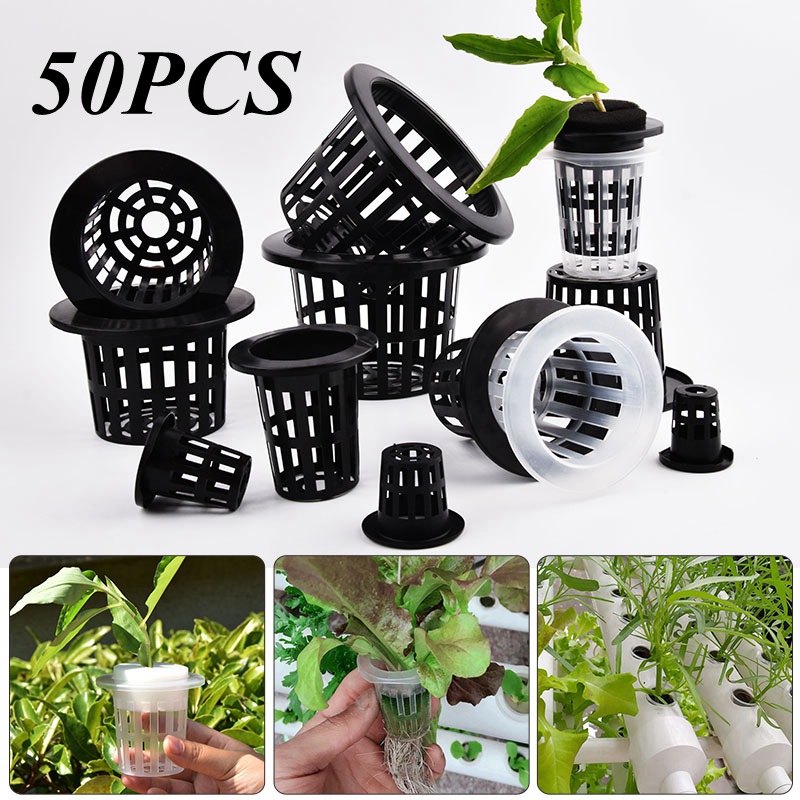 กระถางปลูกต้นไม้แบบตาข่ายไร้ดิ - Hydroponic Grow Pod บทวิจารณ์และราคา