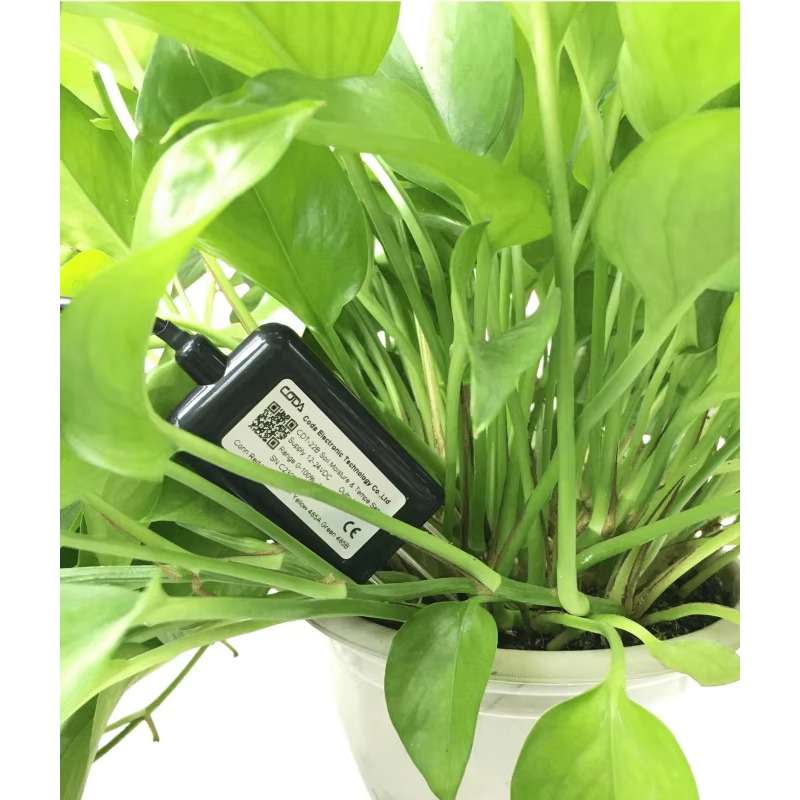 เซ็นเซอร์วัดความชื้นในดิน CDT- - Plant Sensor บทวิจารณ์และราคา