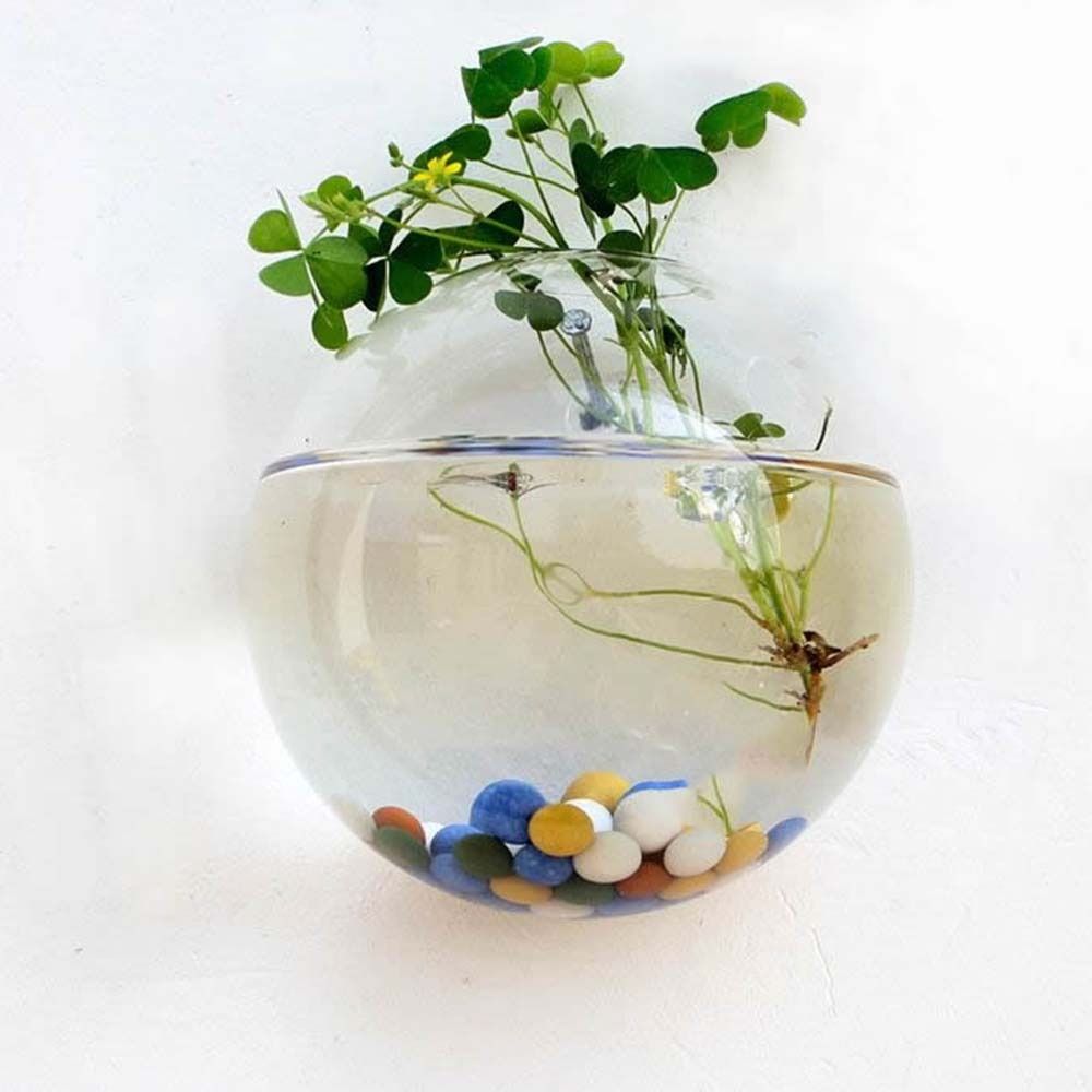 แจกันกระจกโปร่งแสงขนาด8ซม./10ซ - Hydroponic Grow Pod บทวิจารณ์และราคา