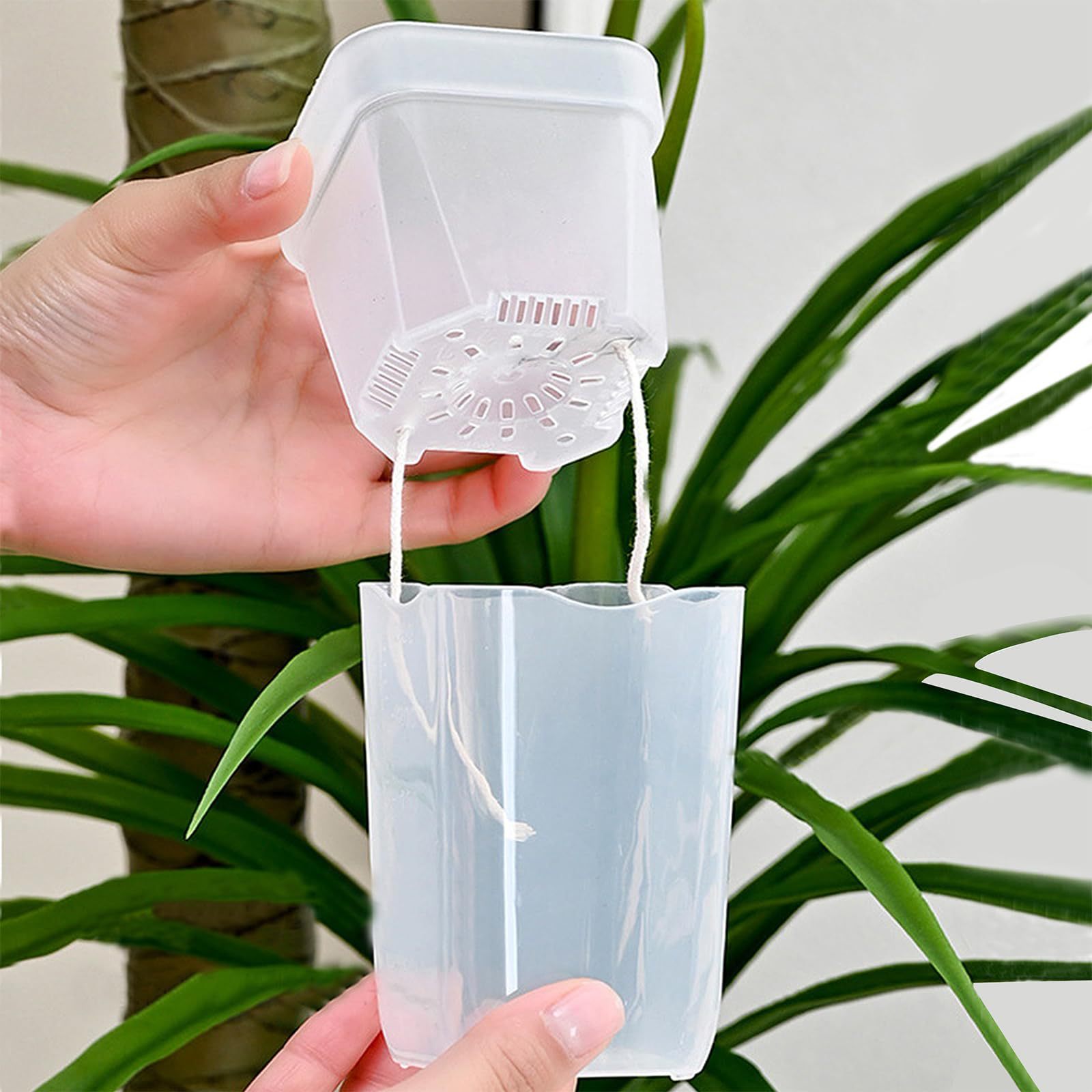 กระถางปลูกต้นไม้แบบรดน้ำเอง 16 - Hydroponic Grow Pod บทวิจารณ์และราคา