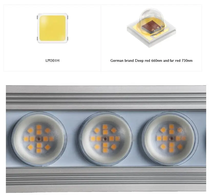 ไฟปลูกต้นไม้ในร่ม Koray 900W แ - Plant Grow Light Full Spectrum บทวิจารณ์และราคา