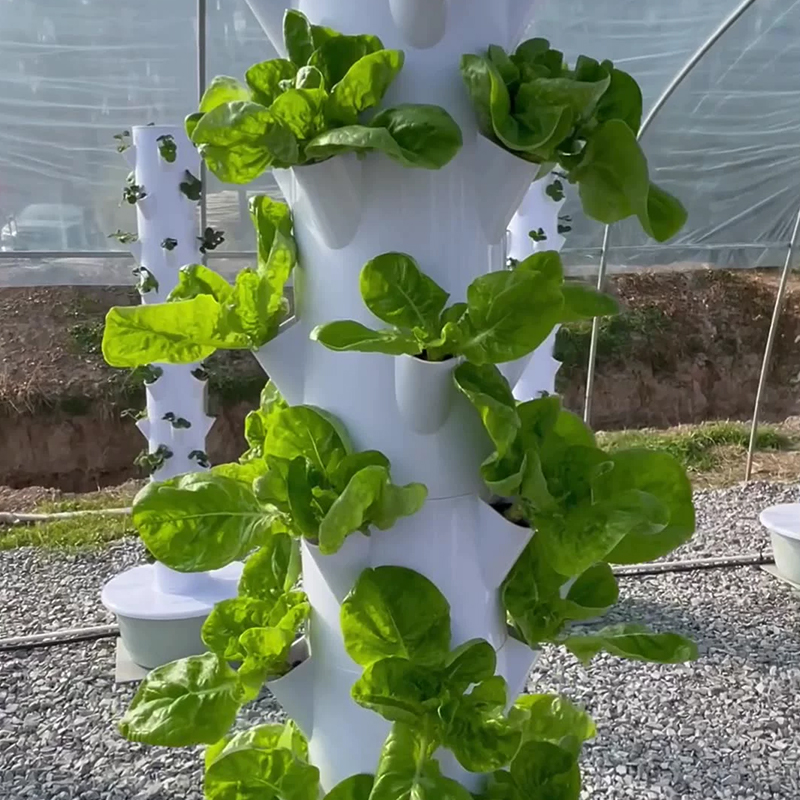 พร้อม LED Grow Light Space Tre - Hydroponic Tower บทวิจารณ์และราคา